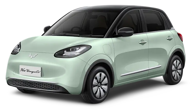 Wuling Binguo EV